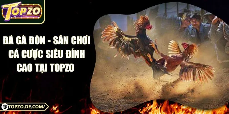 Đá Gà Đòn - Sân Chơi Cá Cược Siêu Đỉnh Cao Tại Topzo